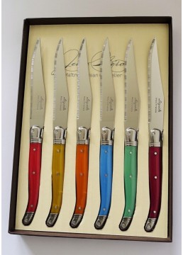 Steak knives multicolored