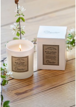 Scented candle Elisa white